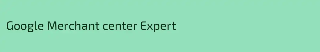 Google Merchant center Expert